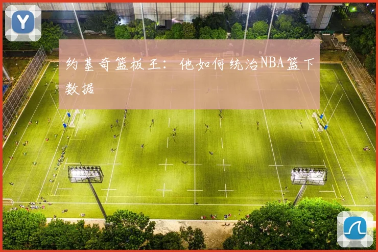 约基奇篮板王：他如何统治NBA篮下数据
