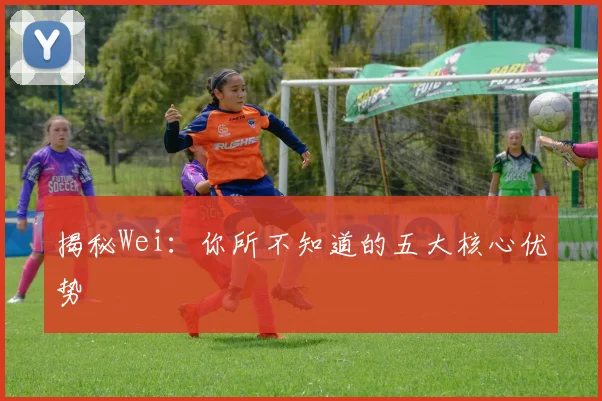 揭秘Wei：你所不知道的五大核心优势